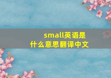 small英语是什么意思翻译中文