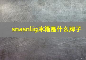 snasnlig冰箱是什么牌子