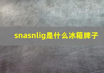 snasnlig是什么冰箱牌子