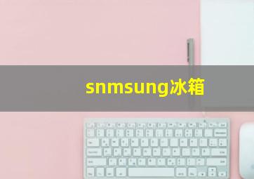 snmsung冰箱