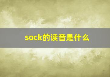 sock的读音是什么