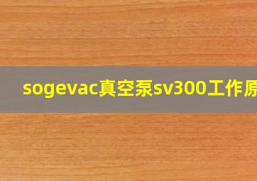 sogevac真空泵sv300工作原理