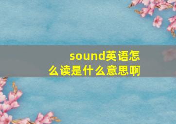 sound英语怎么读是什么意思啊