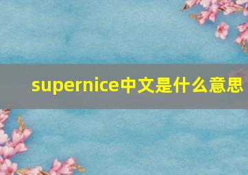 supernice中文是什么意思