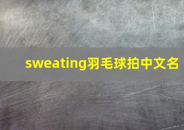 sweating羽毛球拍中文名