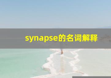 synapse的名词解释