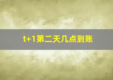 t+1第二天几点到账