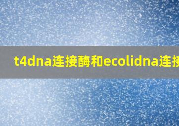 t4dna连接酶和ecolidna连接酶