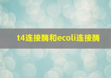 t4连接酶和ecoli连接酶