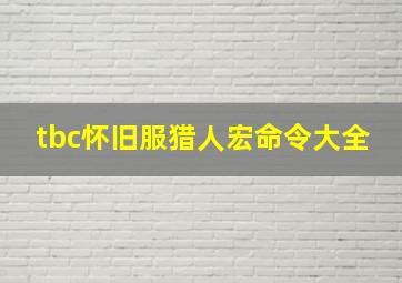 tbc怀旧服猎人宏命令大全