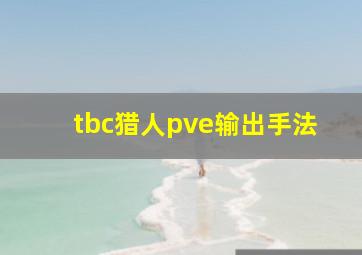 tbc猎人pve输出手法