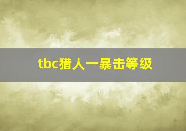 tbc猎人一暴击等级