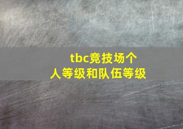 tbc竞技场个人等级和队伍等级