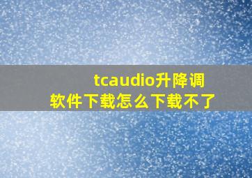 tcaudio升降调软件下载怎么下载不了