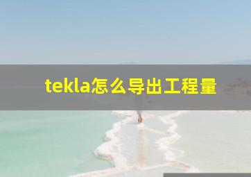 tekla怎么导出工程量