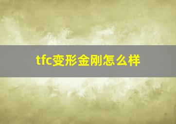 tfc变形金刚怎么样