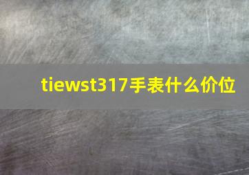 tiewst317手表什么价位