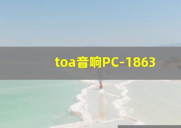 toa音响PC-1863