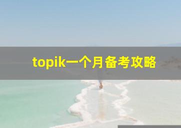 topik一个月备考攻略