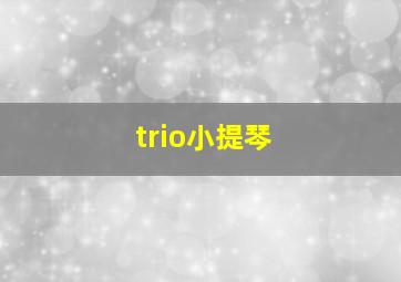 trio小提琴