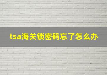 tsa海关锁密码忘了怎么办