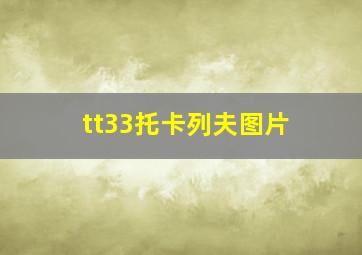 tt33托卡列夫图片