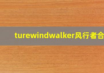 turewindwalker风行者合集