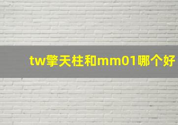 tw擎天柱和mm01哪个好