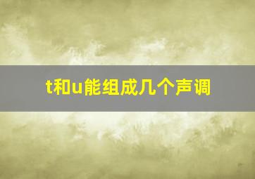 t和u能组成几个声调