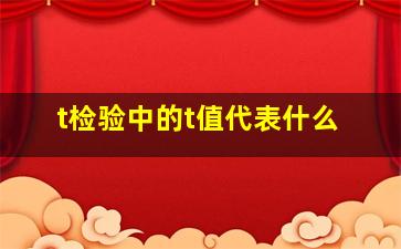 t检验中的t值代表什么