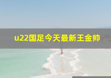 u22国足今天最新王金帅