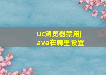 uc浏览器禁用java在哪里设置