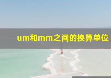 um和mm之间的换算单位