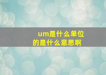 um是什么单位的是什么意思啊