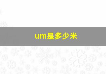 um是多少米