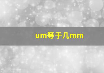 um等于几mm