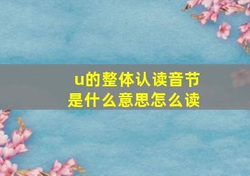 u的整体认读音节是什么意思怎么读