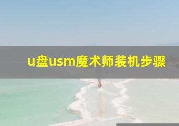 u盘usm魔术师装机步骤