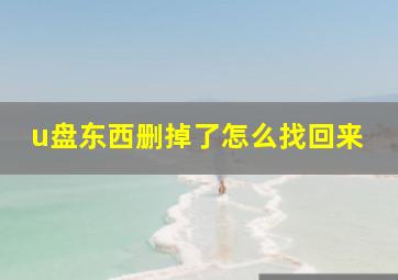 u盘东西删掉了怎么找回来