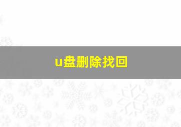 u盘删除找回