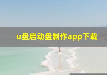 u盘启动盘制作app下载