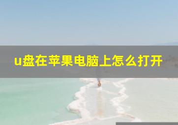 u盘在苹果电脑上怎么打开