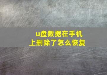 u盘数据在手机上删除了怎么恢复