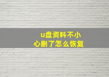 u盘资料不小心删了怎么恢复