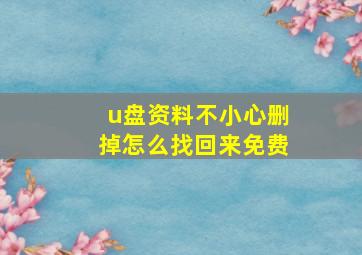 u盘资料不小心删掉怎么找回来免费