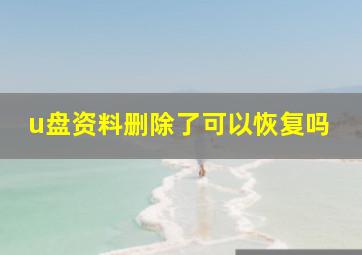 u盘资料删除了可以恢复吗