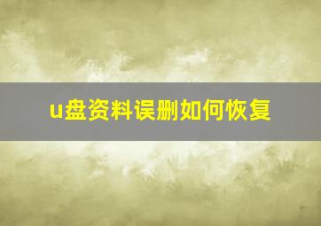 u盘资料误删如何恢复