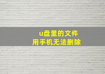 u盘里的文件用手机无法删除