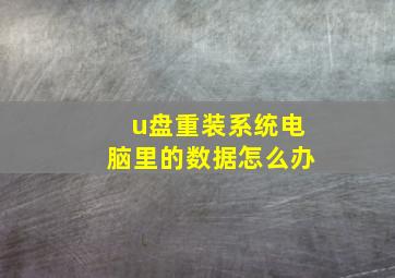 u盘重装系统电脑里的数据怎么办