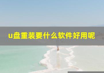 u盘重装要什么软件好用呢